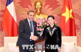 Chủ tịch Quốc hội Nguyễn Thị Kim Ngân tiếp Chủ tịch Hạ viện Chile 